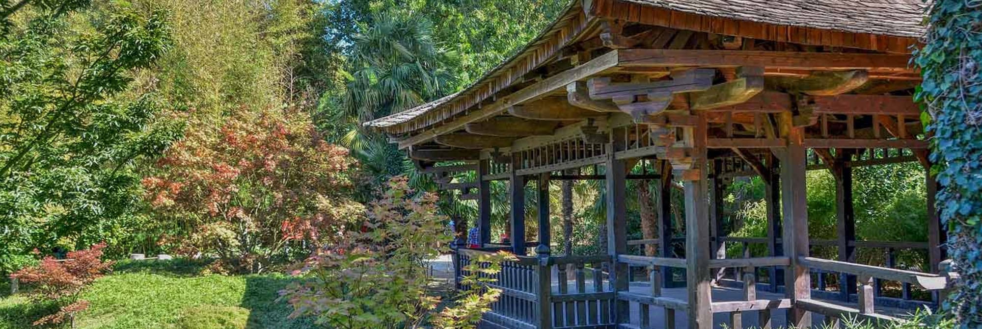 Bambouseraie en Cévennes